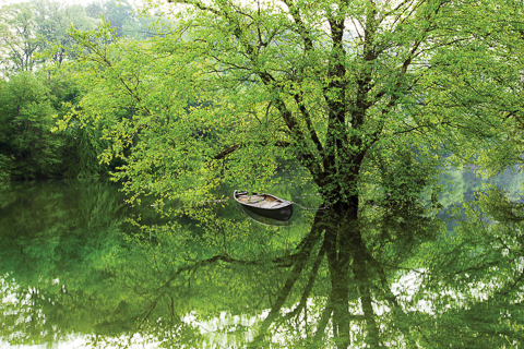 Springtime rains have caused the rivers and streams in the Appalachian Mountains to overflow their banks. The Valley River, shown here on a misty foggy early morning, is swollen with fresh spring rainwater. The trees that are normally on the very edge of the river are knee deep in water which makes for  beautiful photography subjects with their reflections. The old rowboat sits in the calm waters, a perfect mirror to the trees that are full in bright green foliage.