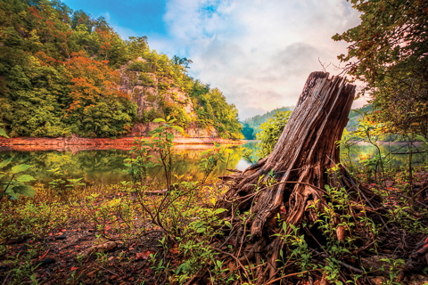 "Down by the River" by Debra and Dave Vanderlaan... The slow moving Hiwassee River just after dawn, at the confluence of the Valley River is encircled by the Smoky Mountains... A touch of fog dances on the still water of this pretty river, mists floating over the reflective water. An old tree, long tangled roots exposed after the high waters recede after Spring and Summer rains have ended, is just a gnarled stump now. The morning light shines on the glistening mossy bark, a lovely glow accenting the curves and shapes of the roots. The cliffs at the opposite shore are called Lovers' Leap, a high granite stone face  of rocks that rises suddenly from the shallow river's edge. Captured in Murphy, North Carolina in early autumn in the Blue Ridge Mountains of the Smokies...