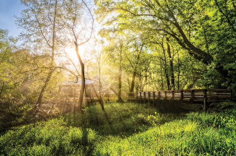 "Rays over the River Walk" by Debra and Dave Vanderlaan... A foggy morning in the middle of Spring at the River Walk... Beautiful sunrays burst through the mists and through the foliage of the trees, creating a gorgeous spiritual mood. The wooden walkways are bathed in light and the grasses in the forest are lush and wet with the night's rain. The air is cool and the early morning silent as the trees along the trail lean into the day... Www.CelebrateLifeGallery.com