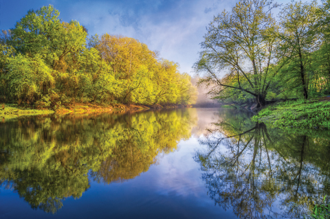 "River Beauty"  by Debra and Dave Vanderlaan... The river is flooded after the Spring rains, captured at sunrise on the Valley River in the Smoky Mountains of North Carolina... Perfect reflections on a silent and foggy morning at sunrise, the sky filled with the mist of the morning's glow. These black willow trees and cypress grow along the river's edge, now part of a lake flowing slowly downstream as the Valley River meets the Hiwassee River in a convergeance along the River Walk trail. This is the sweet Blue Ridge mountain town of Murphy in the western Appalachian mountains... Www.CelebrateLifeGallery.com