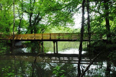 A Footbridge Over the River [photo courtesy of Nic Oliver]